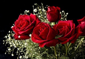 Red-Roses-for-Valentines-Day